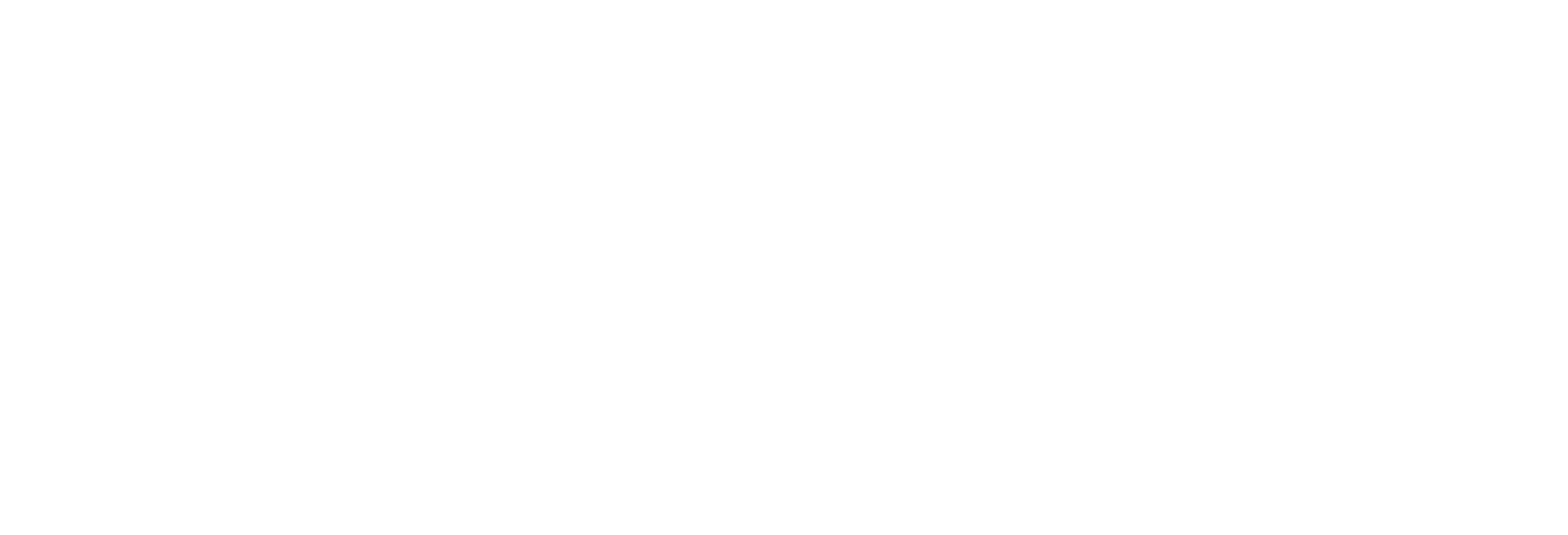 Chesapeake Library Logo White